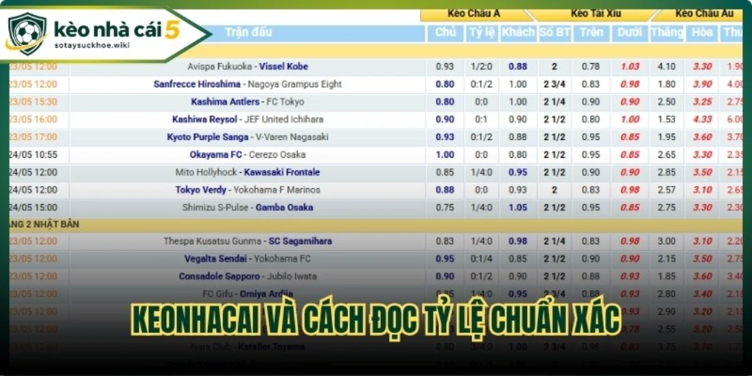 Keonhacai và cách đọc tỷ lệ chuẩn xác